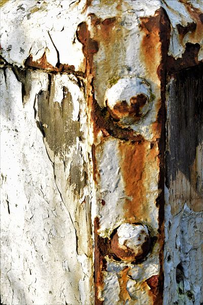 Detailaufnahme eines rostigen Pfahls entlang eines Flusses von Maud De Vries