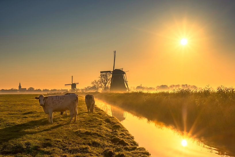 Molen en Koeien  in Streefkerk van Richard Nell