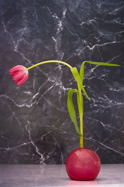 Dutch Ikebana 2. by Pieter van Roijen