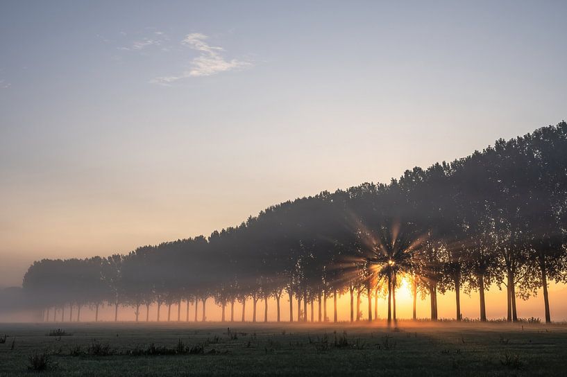 Landleben Teil 34 von Tania Perneel