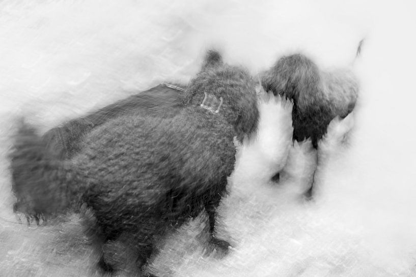 In the Clouds by True Color Stories