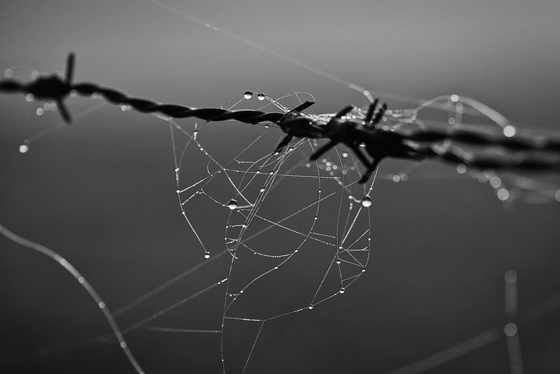 Gegensätze par Kilian Schloemp