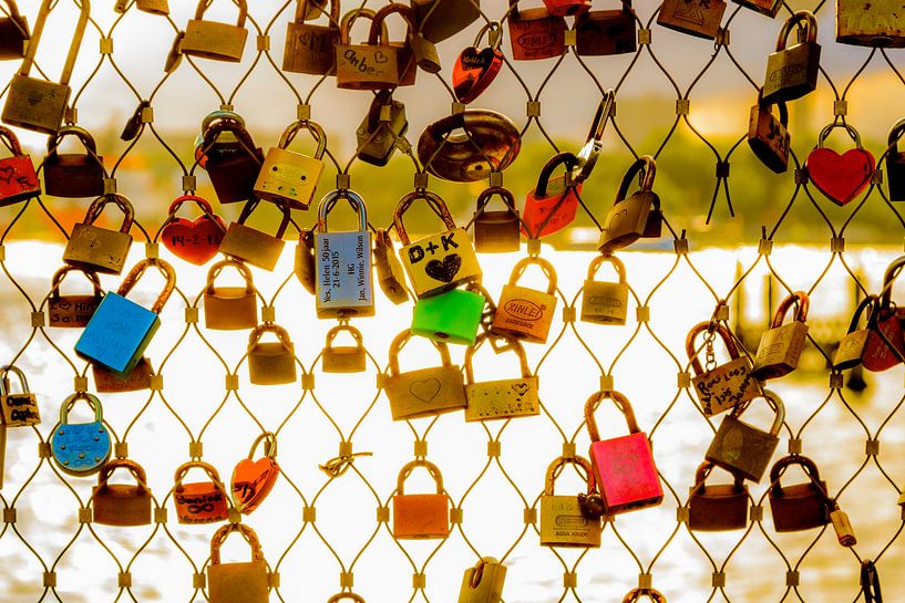  Cadenas sur le pont Rijnhaven à Rotterdam par Lizanne van Spanje