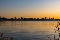 Skyline Rotterdam von Kralingsebos bei Sonnenuntergang
