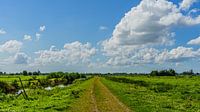Landscape photo in the Gouda polder