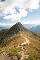 Chemin de montagne solitaire