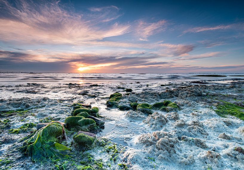 Nationalpark Oosterschelde von Ria Overbeeke