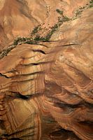 Ancient Skin - Papyrus from the Sky