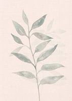 Japandi Watercolour leaves soft pink