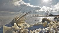 Winterlandschaft Veluwemeer