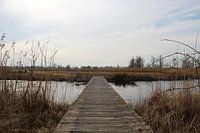 Brug in Nationaal Park De Alde Feanen