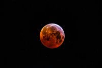 Blood Moon