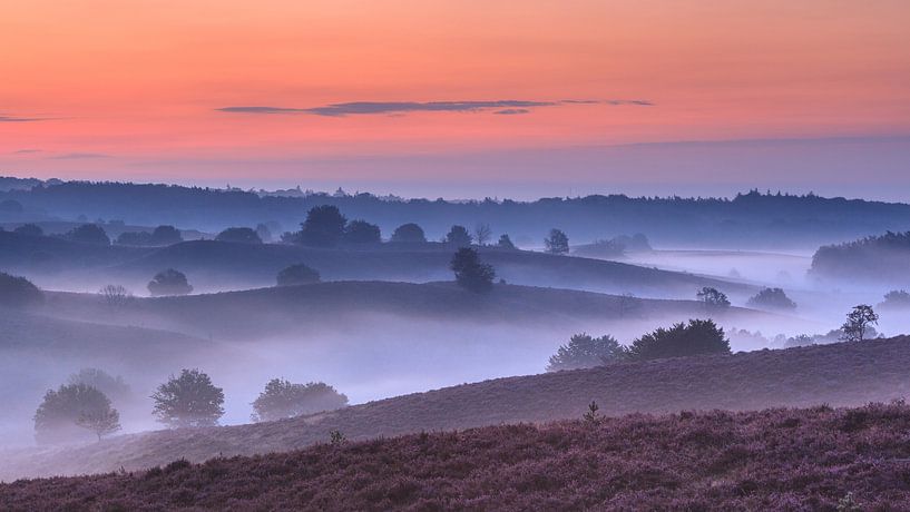 Le paysage stratifié de la Posbank avant le lever du soleil par Dave Zuuring