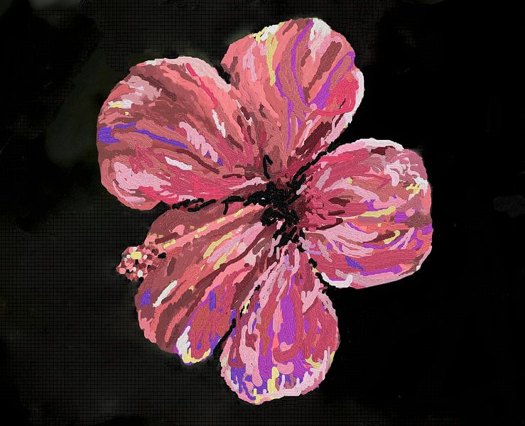 Hibiscus rose par Ineke de Rijk