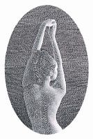 Bruit (noir et blanc)