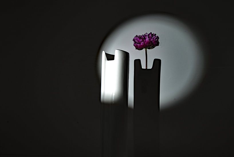 Bloem in de schaduw van Thomas Riess