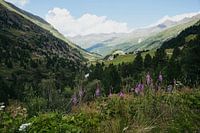 Was für eine Aussicht!