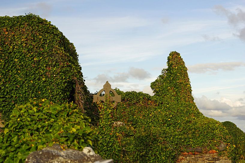 Les ruines de l'église médiévale de Kilmacreehy par Babetts Bildergalerie