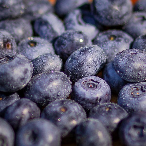 Blaubeeren von Scholtes Fotografie