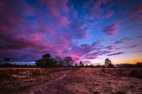 Coucher de soleil Buurse