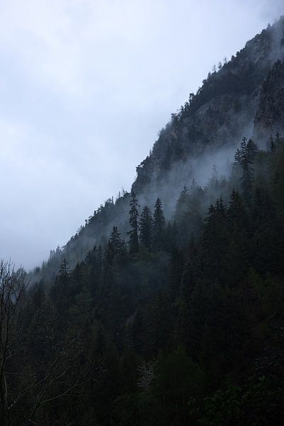 Nebel durch die Bäume der französischen Alpen von Gerben De Schuiteneer