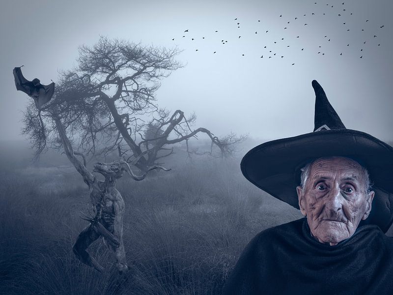 hallloween von Ton Buijs