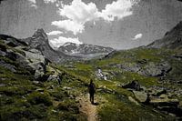 Bergpanoram in den Alpen