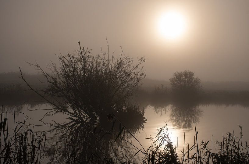 atmosphère mystérieuse dans le polder par Jan Brand