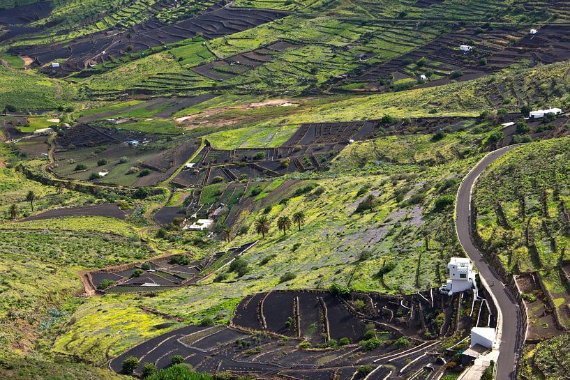 Mirador de Haria auf Lanzarote von Anja B. Schäfer