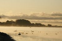 Vroege ochtend op Rügen