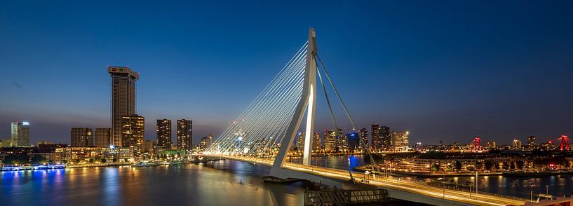 Zonsondergang bij de Erasmusbrug van Frank Laurens