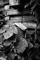 Vogelhaus im monochromen Garten