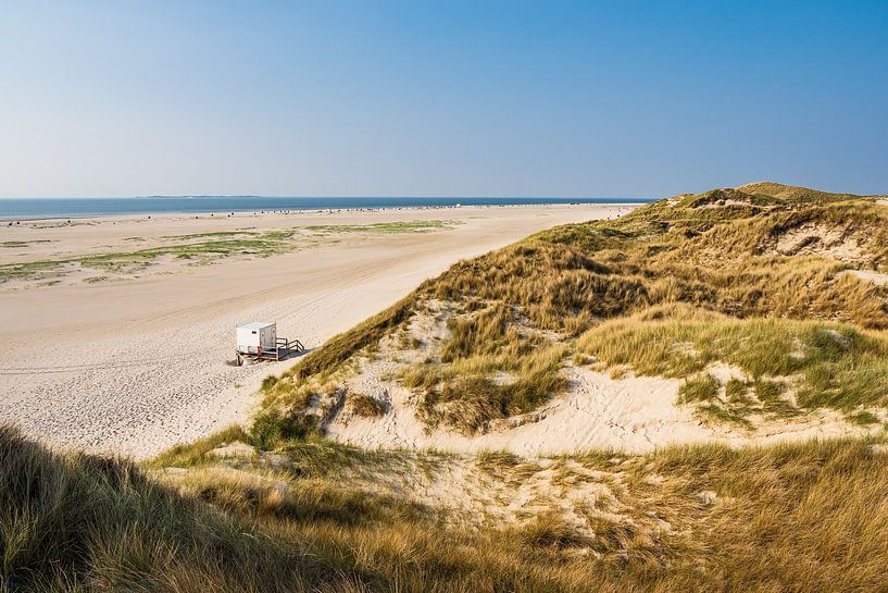 Landschaft in den Dünen in Norddorf auf der Insel Amrum von Rico Ködder