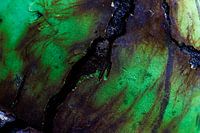 Hintergrund rustikales Grün