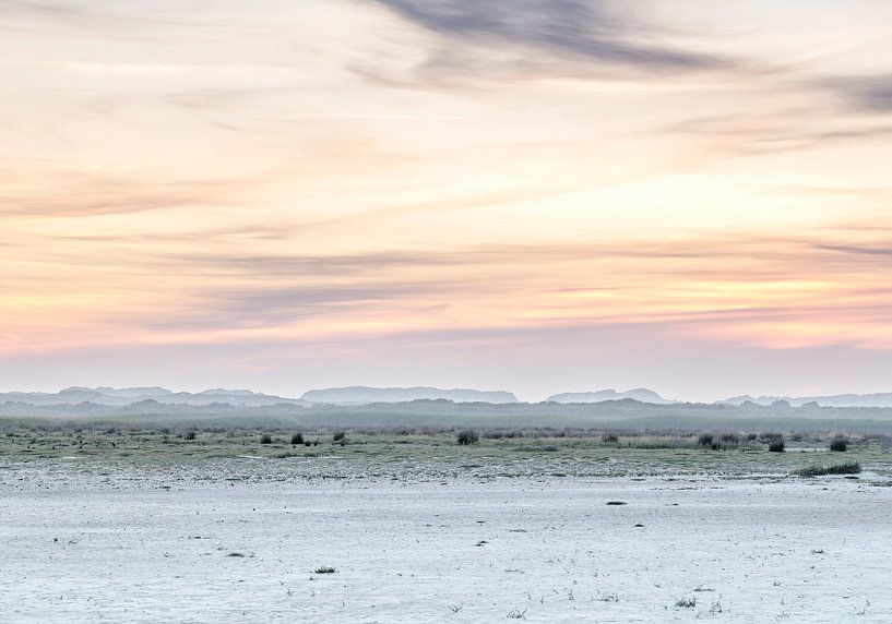 Noordsvaarder by Wad of Wonders