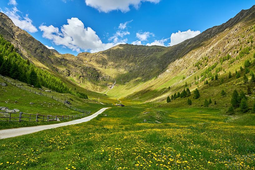 Printemps dans la vallée de l'Altfass dans le Tyrol du Sud par Reiner Würz / RWFotoArt