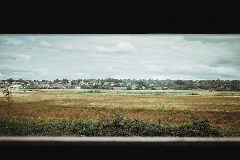 Birdwatching in Pulborough | Travel photography fine art photo print | England, UK by Sanne Dost