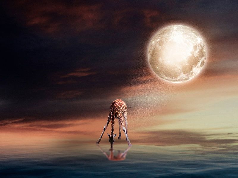 Durst von Catherine Fortin