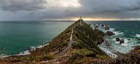 Nugget Point Lighthouse, NZ, New Zealand