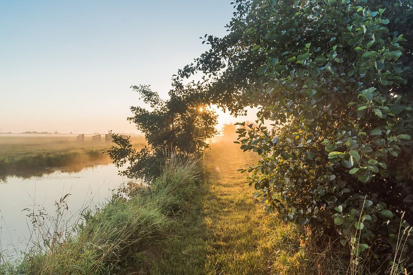 Sonnenaufgang mit Nebel von Rossum-Fotografie