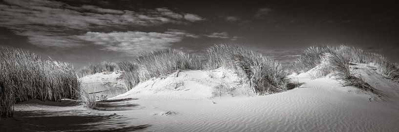 Panorama einer Dünenlandschaft mit Strandhafer in schwarz-weiß von eric van der eijk