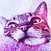 Portrait d'un chat, en gros plan - Pop Art