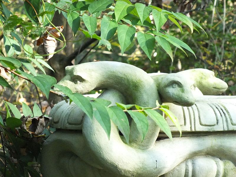 Schlangen von Ilona Picha-Höberth