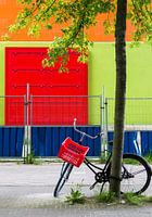 Bicycle against tree with red, green, orange and blue in Amsterdam