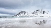 Beach Lofoten
