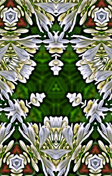 een decoratieve florale digitale caleidoscoop van Werner Lehmann