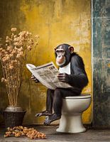 Monkey on the toilet