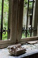 Vervallen raamkozijn