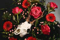 Dia de los Muertos - Hirsch-Schädel - Reebok Geweih