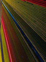 Les champs de tulipes vus du ciel